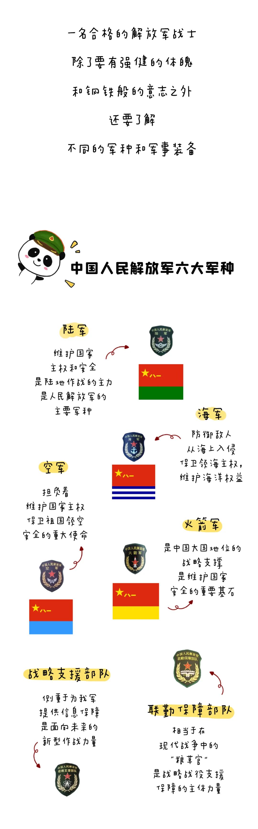 中国最新军种分类揭示国防力量新时代新面貌