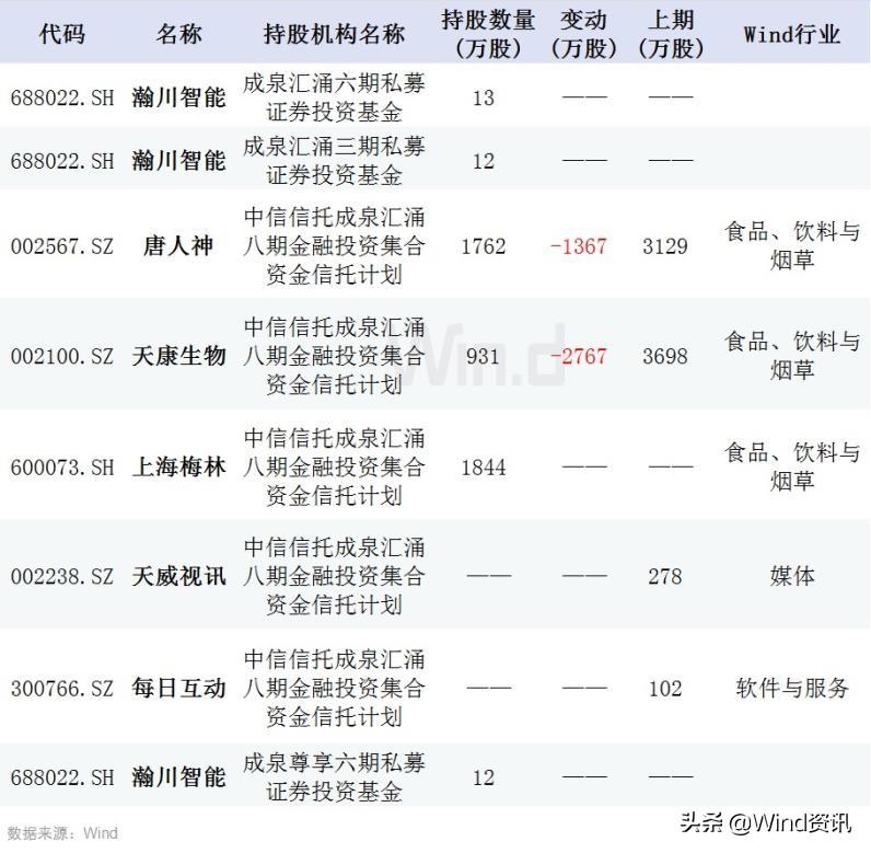 王亚伟最新持股明细，深度探究投资布局与策略