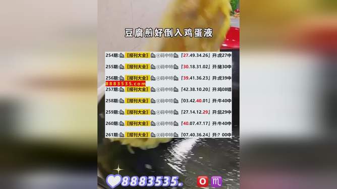 新澳开奖结果记录查询表，探索与解析