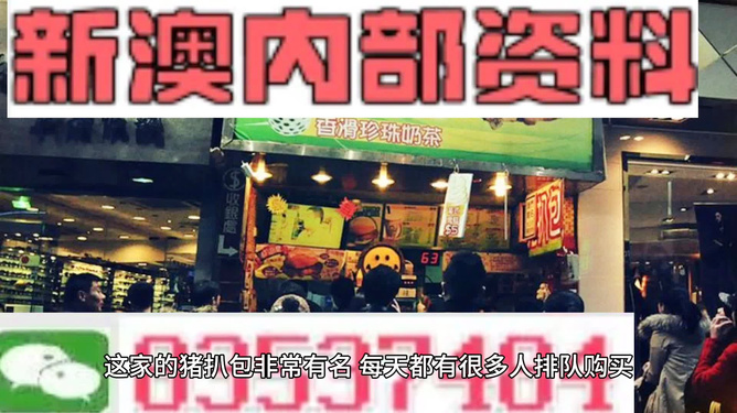 新澳精准资料大全与违法犯罪问题