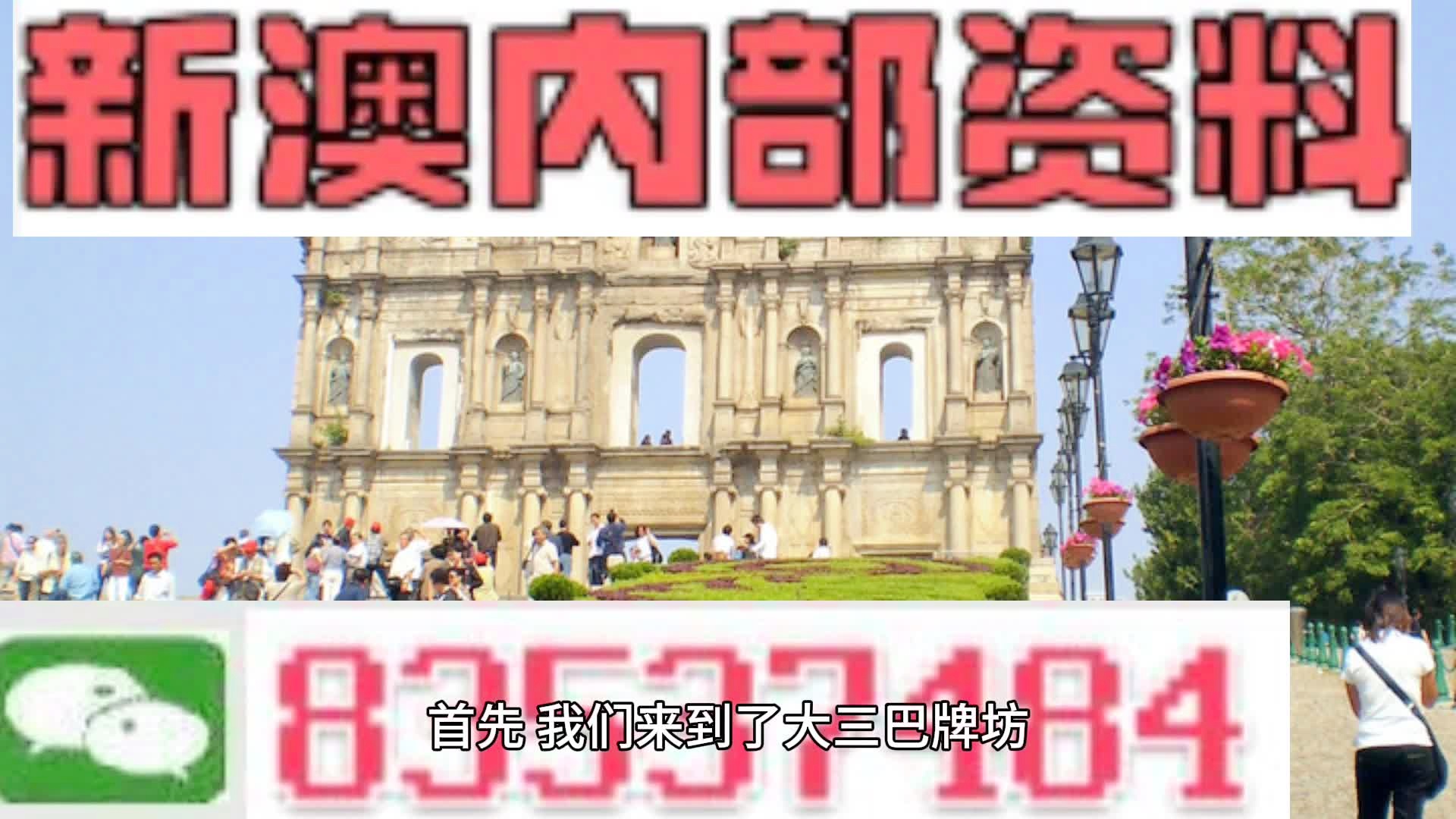 新澳2024年最新版资料深度解析